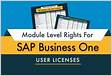 Direitos a licenças de usuário do SAP Business On
